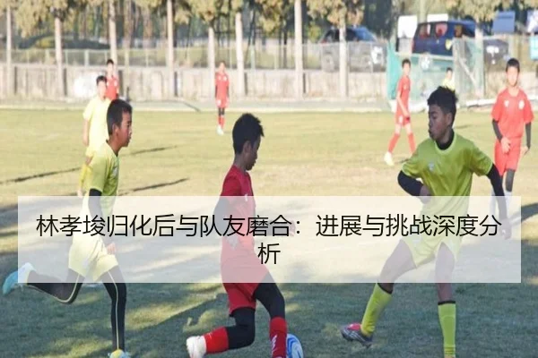 lin-xiao-jun-gui-hua-hou-yu-dui-you-mo-he-jin-zhan-yu-tiao-zhan-shen-du-fen-xi-2-239.jpg